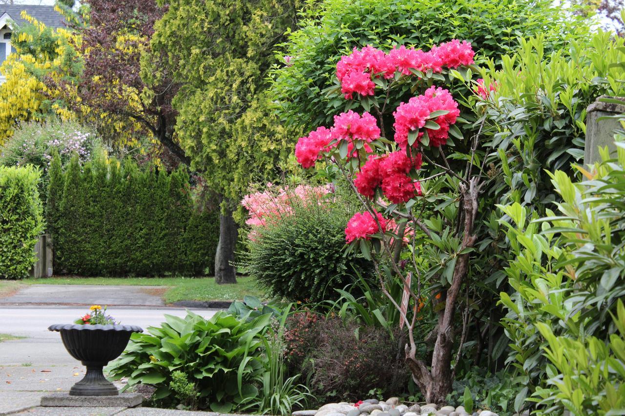 Cartier Guest House Vancouver Exterior foto